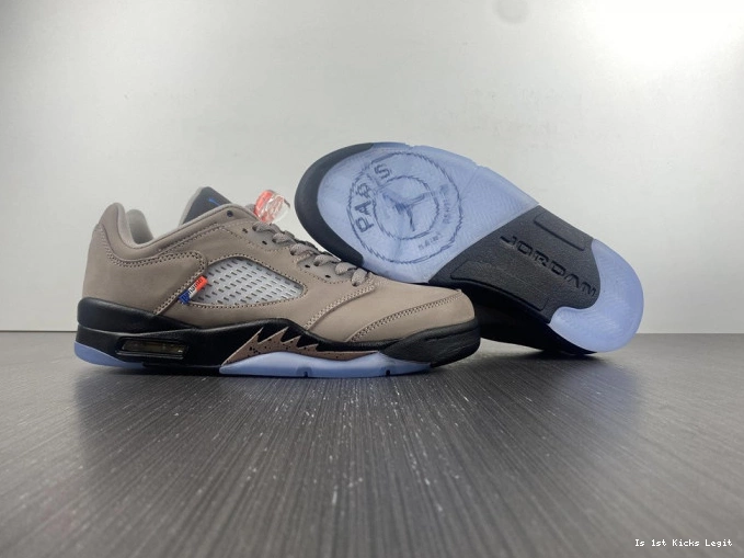 x Jordan Low 5 PSG DX6325-204 Air 0823